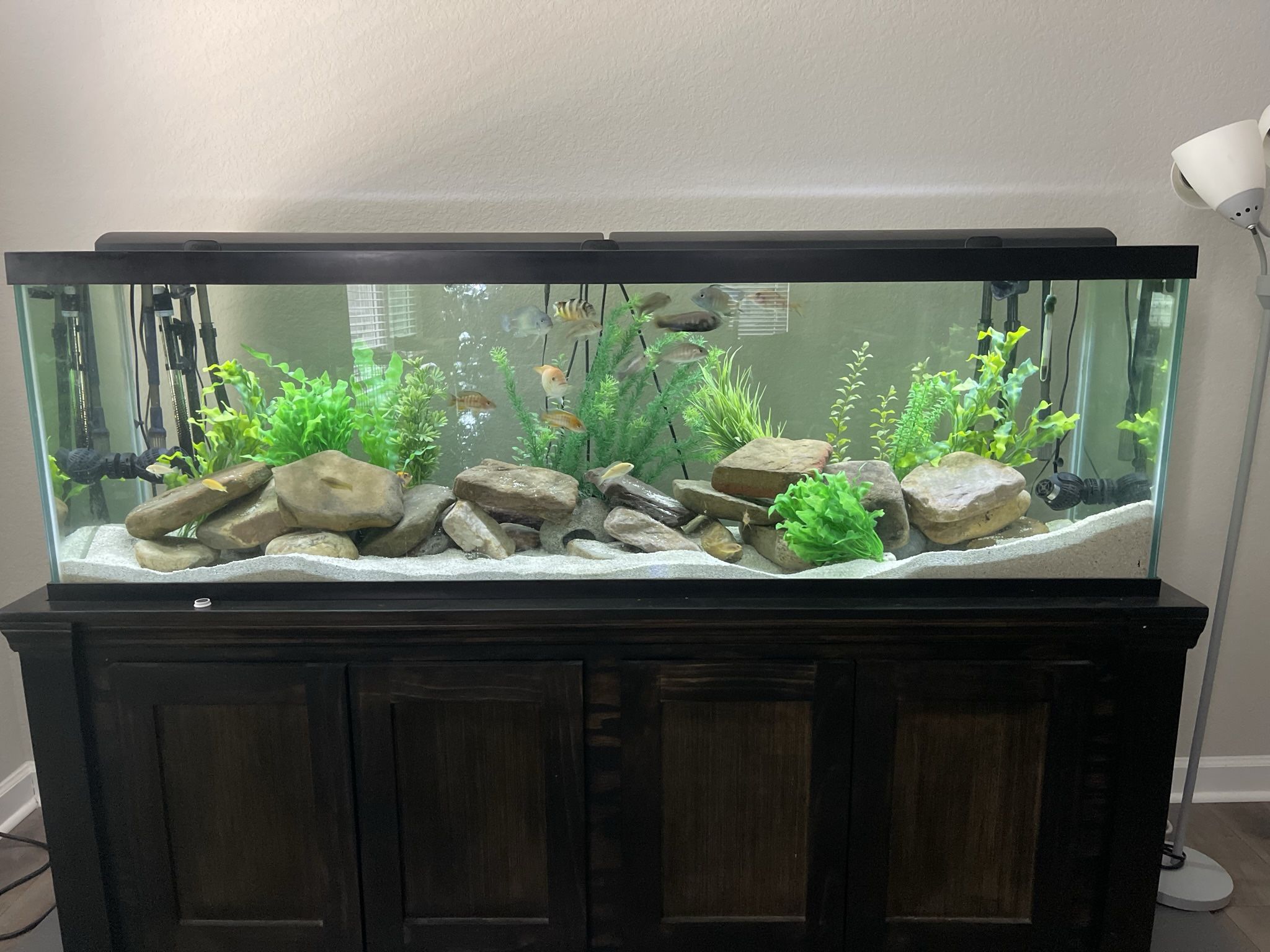 125 GALLON FISH TANK WITH STAND