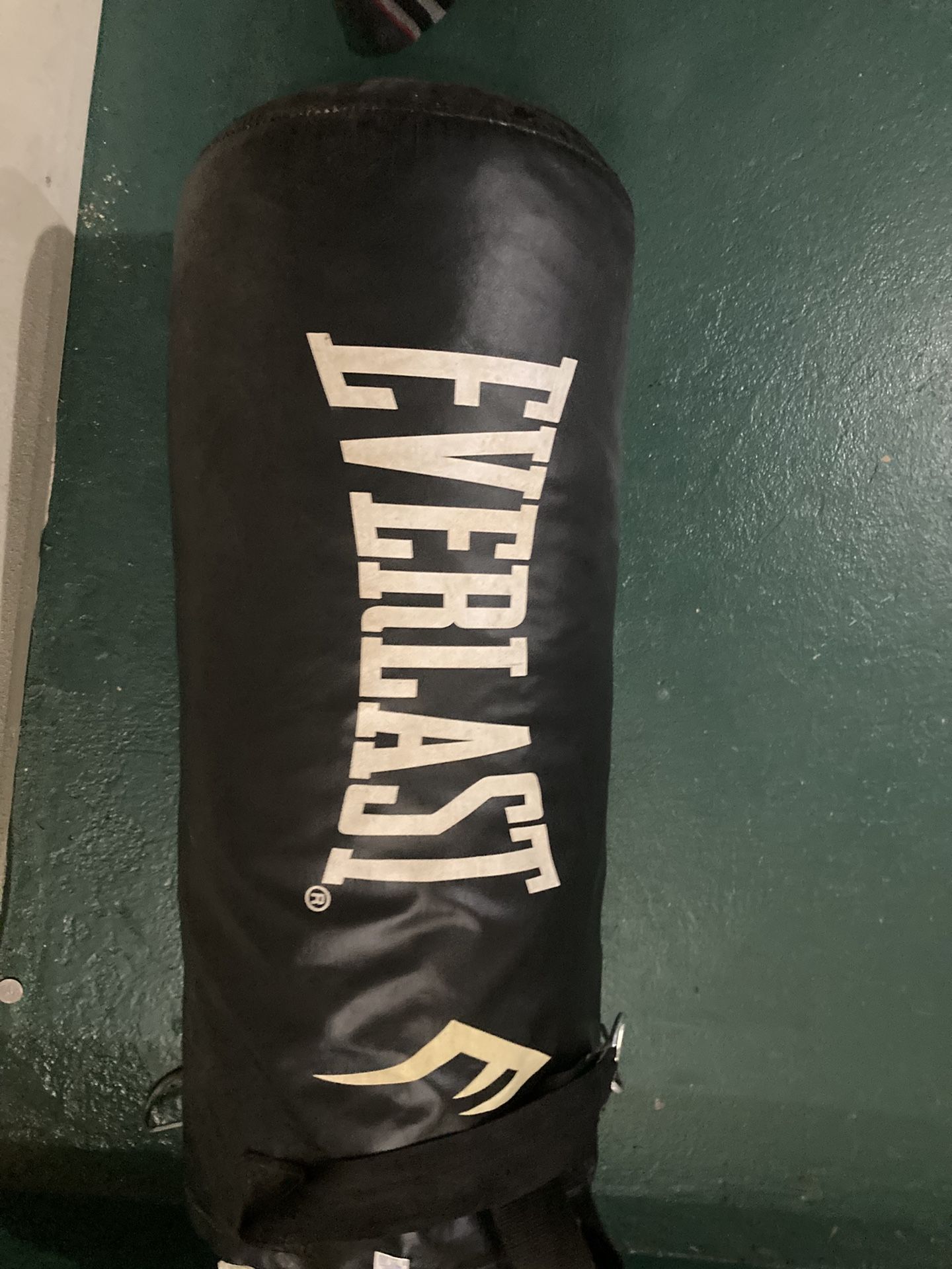 Everlast Punching Bag Hanging