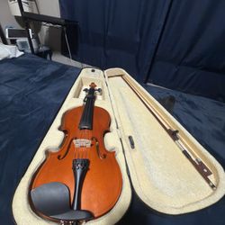 Beginner Violin Set 