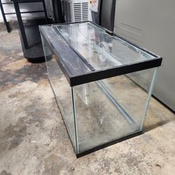 Fish Tank 
