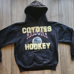 Arizona Coyotes Men's Black Icey Rhuigi Pullover Hoodie Size Large 