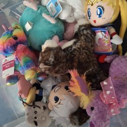 Free Plushies Pusbeen, Sailor Moon Etc.