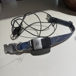 Fi Dog Collar 