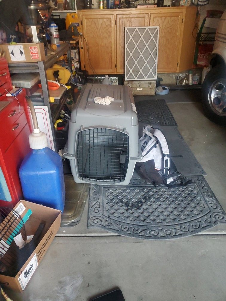 Dog Kennel