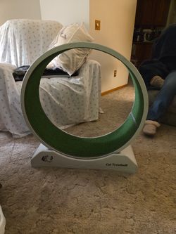 Cat Tredmill
