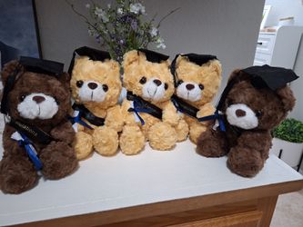 Graduation teddy bears
