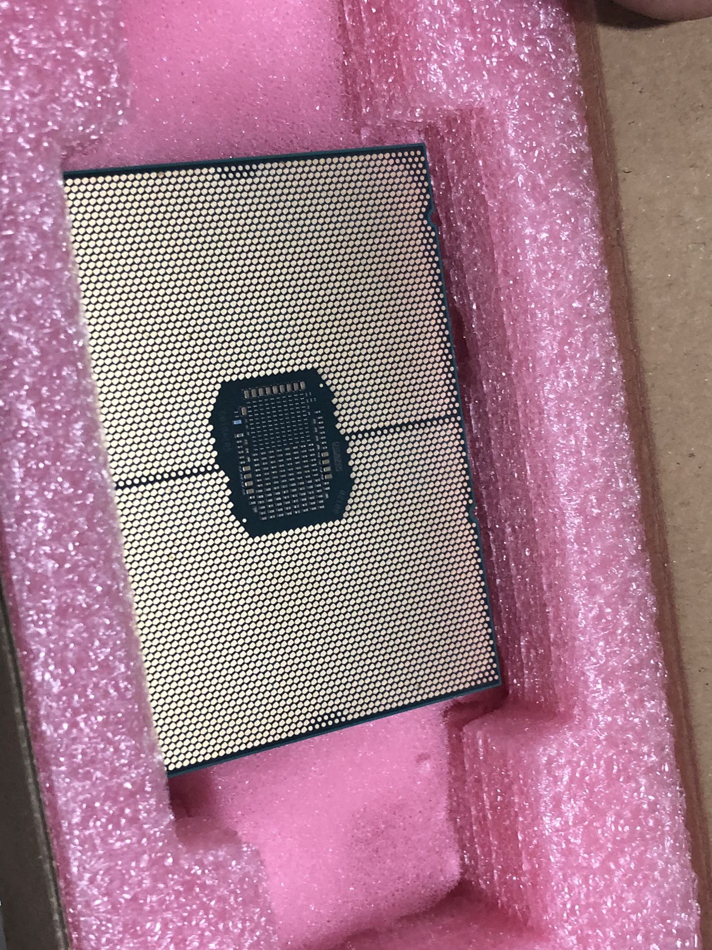 Intel Xeon Processor