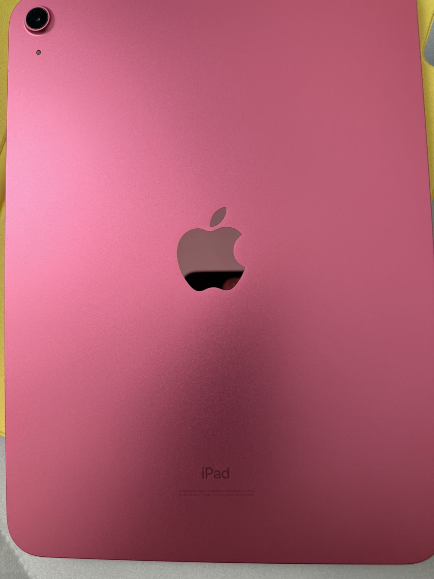 iPad Pink WiFi Only