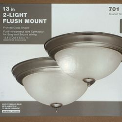 Flush ceiling Light 2 Pack Brushed Nickel