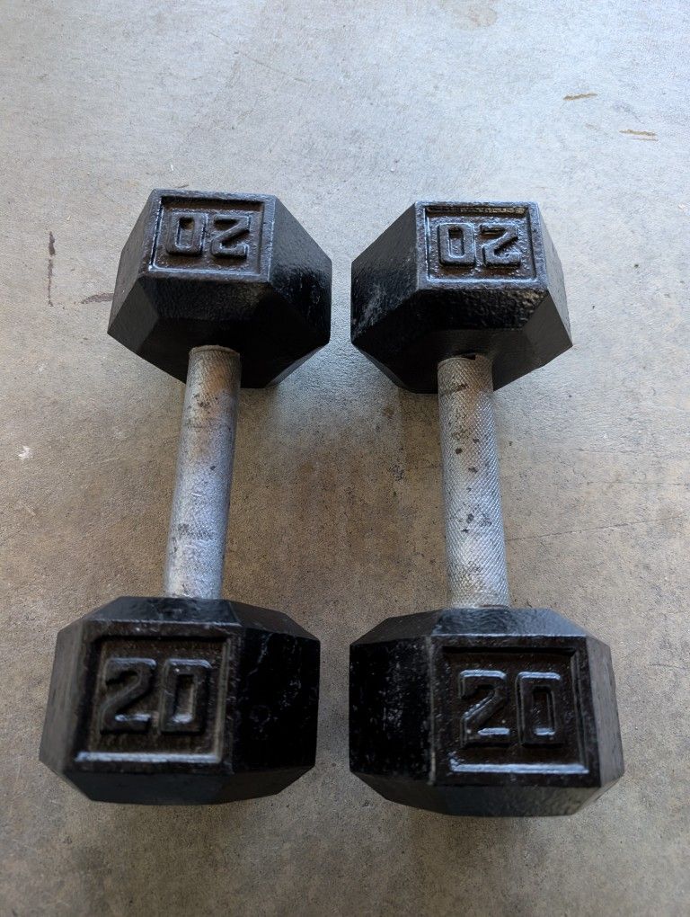Pair 20 Lb Dumbbells