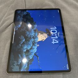 iPad Pro 12.9 4th Gen 256GB