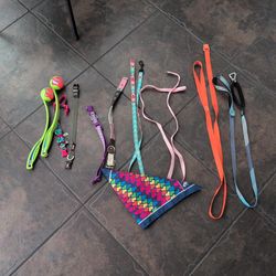 Misc Small Dog Accessories FREE