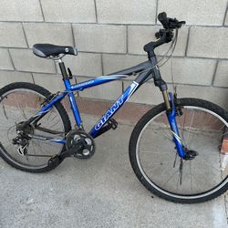 Giant Boulder SE Mountain Bike
