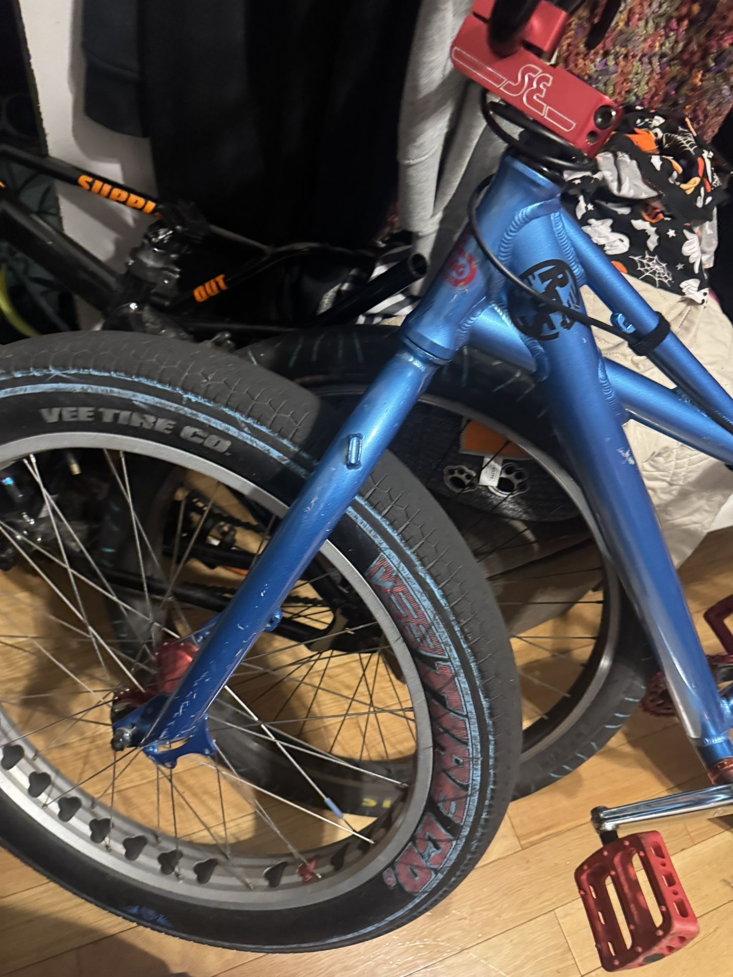 Blue Fat Quad Cash Only 800$