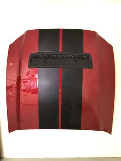 2013 GT500 Hood