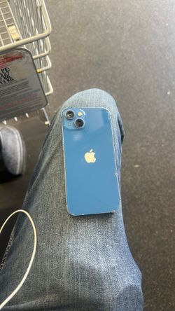 Apple 13
