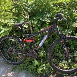 Bicycle Beautiful Size 26