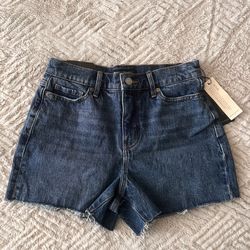Banana Republic Shorts  25/0 Petite 