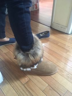 Winter boots