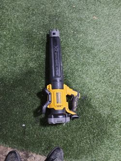 Dewalt blower