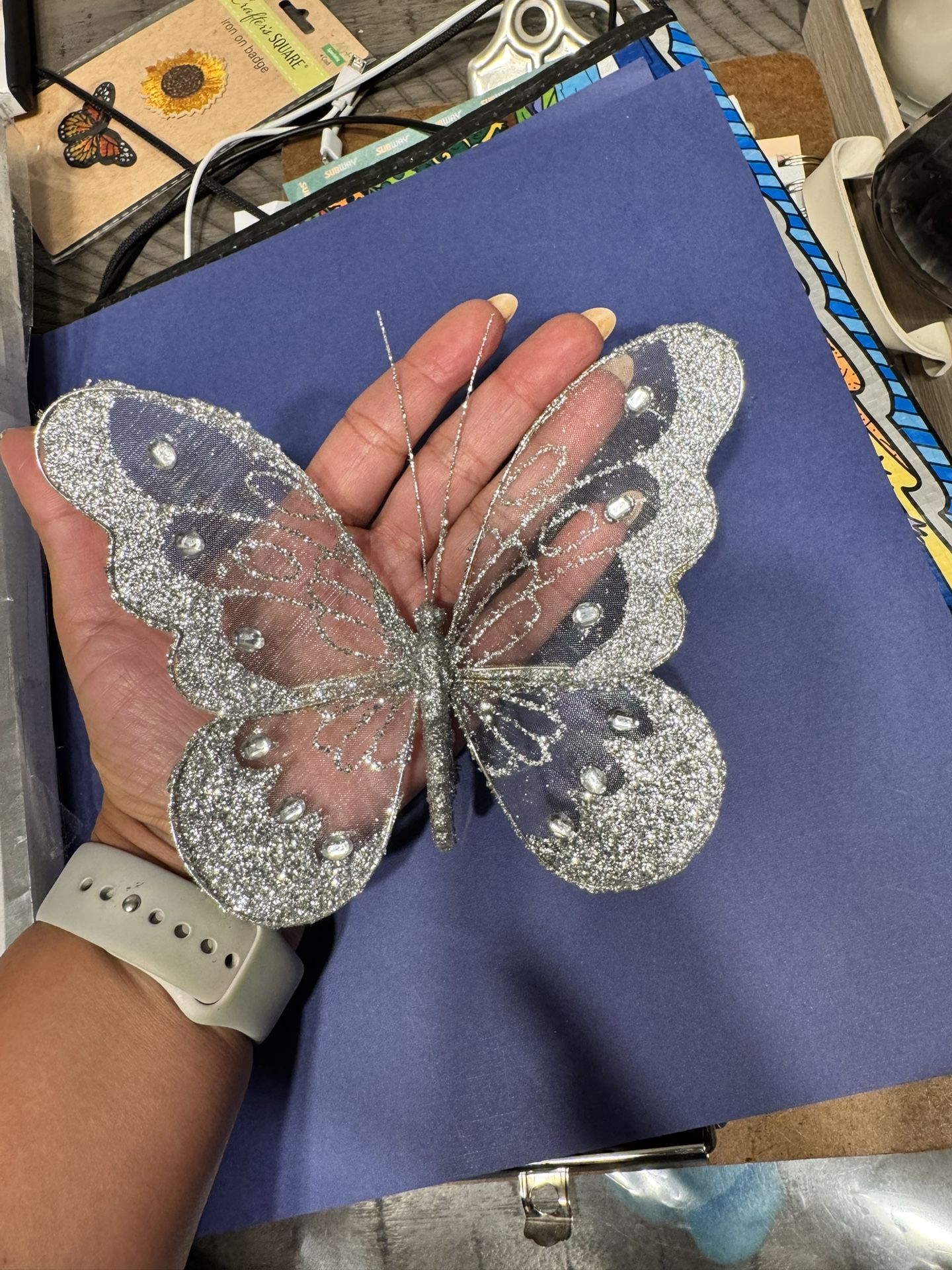 Butterfly Decor