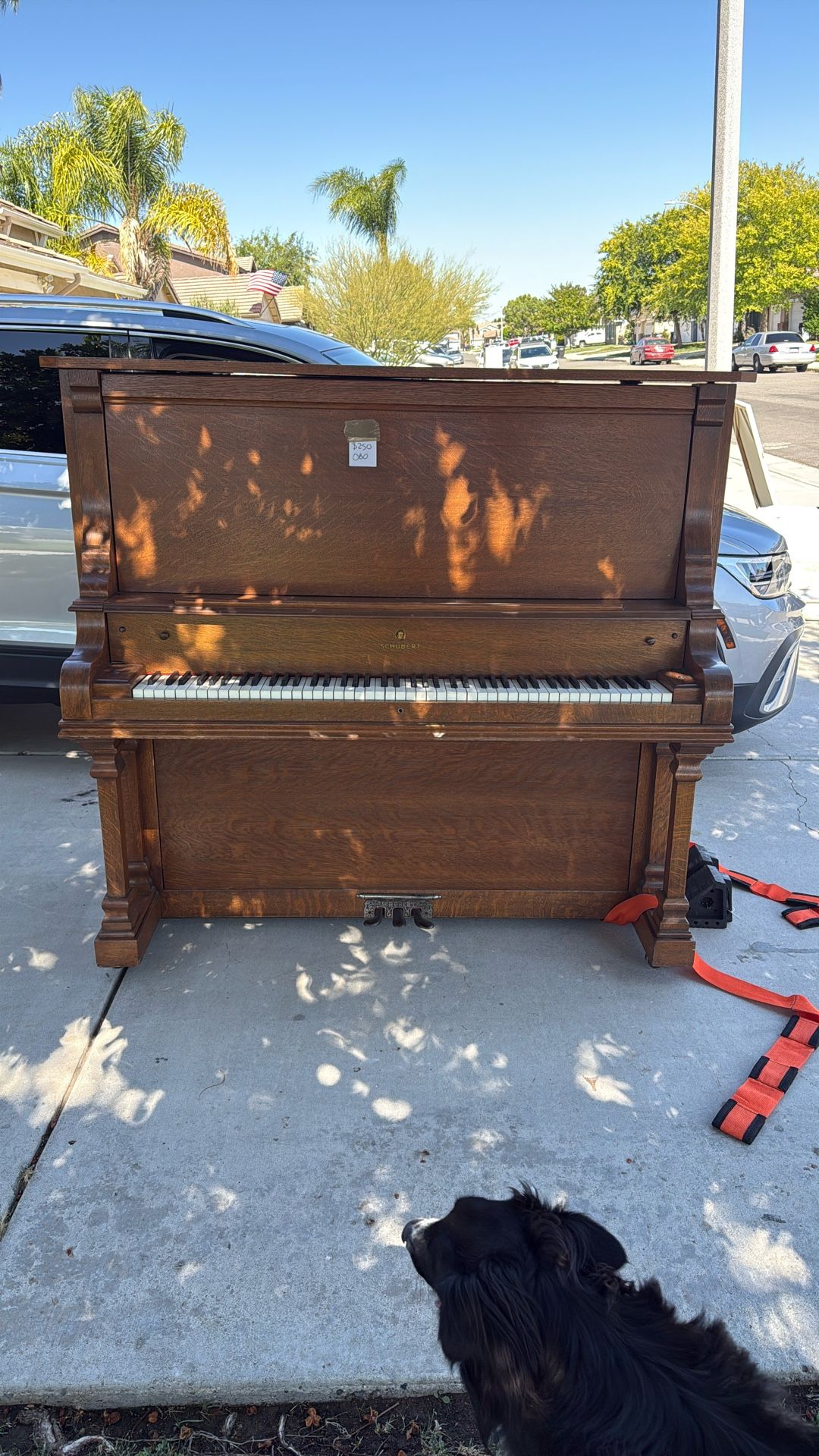 Schubert New York Upright Piano
