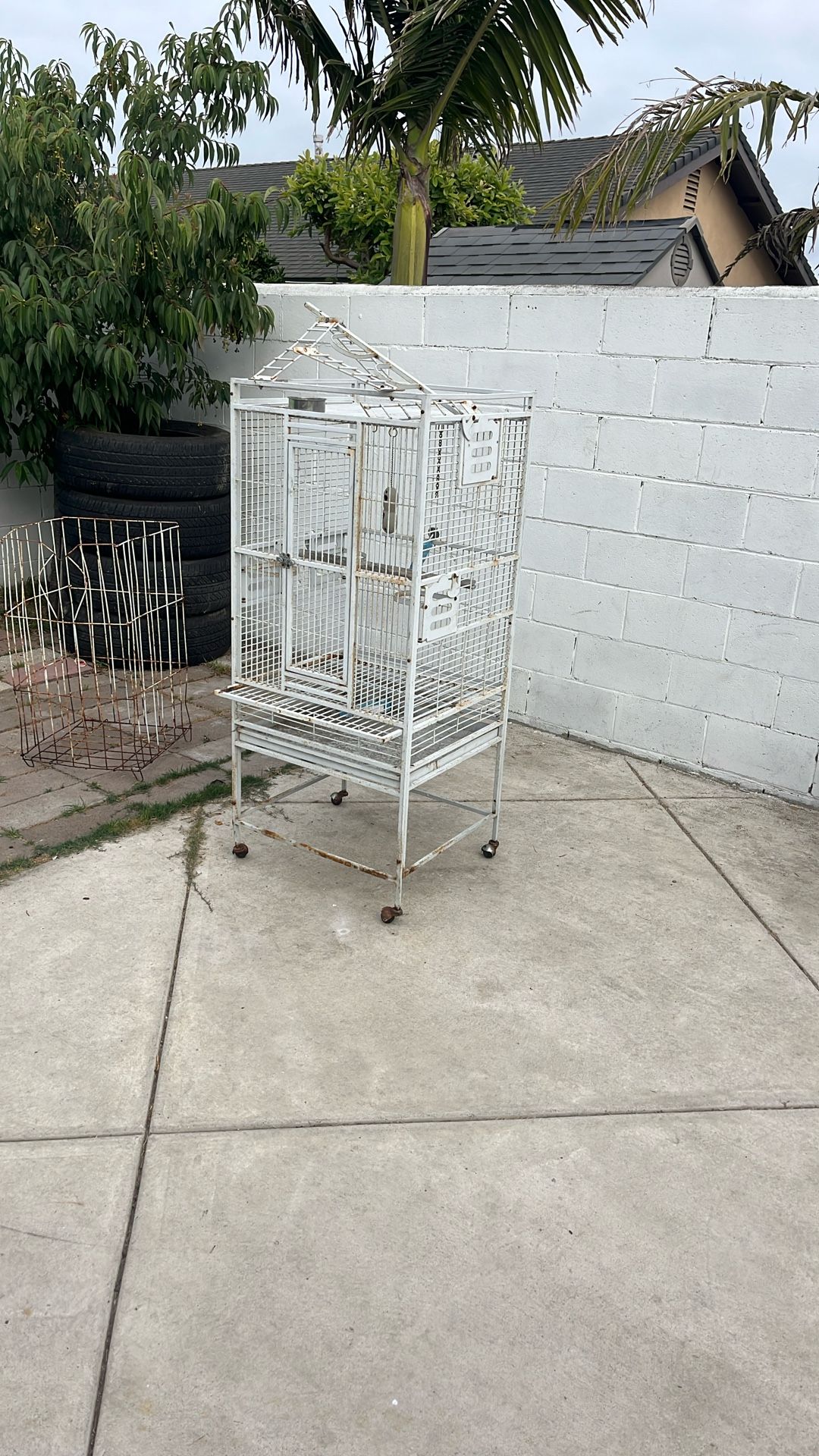 Birdcage