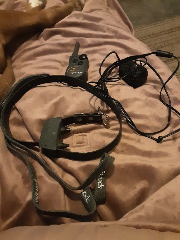 Sport Dog Brand Trainer