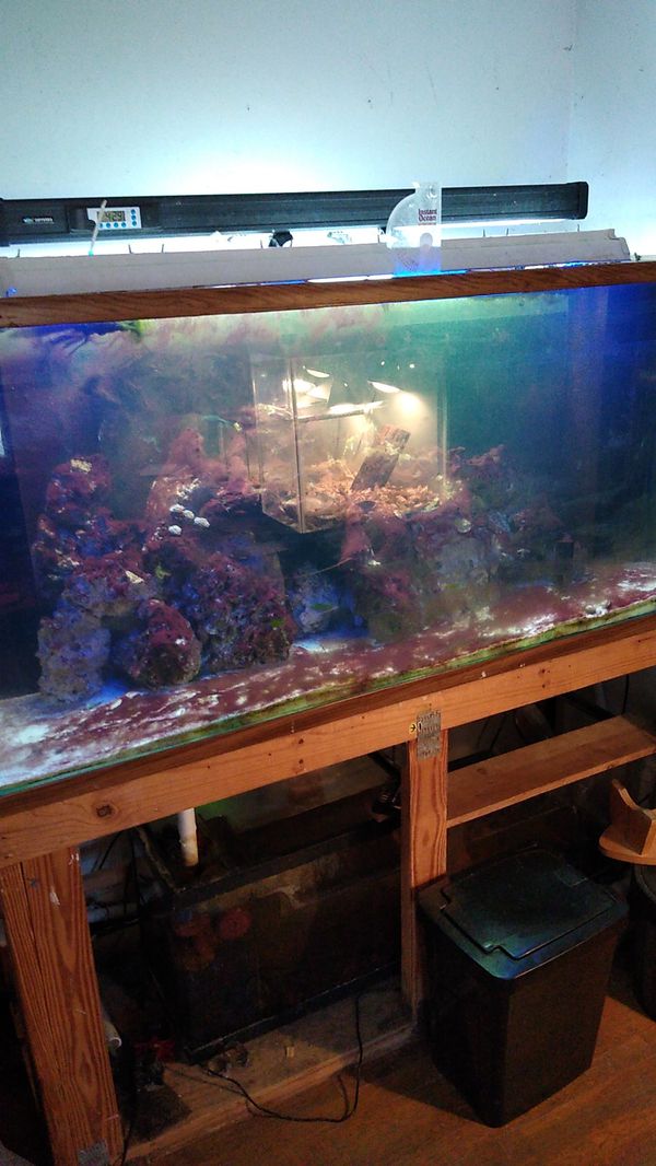 200 gallon aquarium for sale