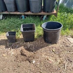 Nursery Pot's 3 Different Sizes