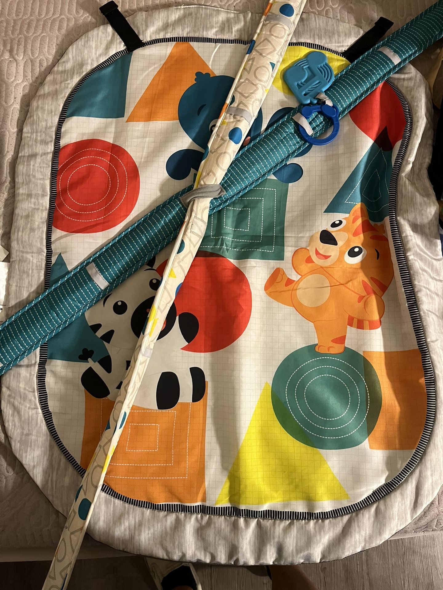 Baby Play Mat