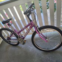 Kids Bicycle Diamondback 24