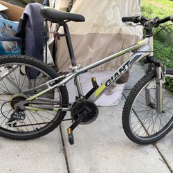 Giant Boys Bike 