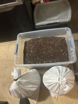 Organic Potting Mix