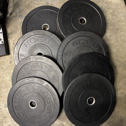 Rogue bumper  weights