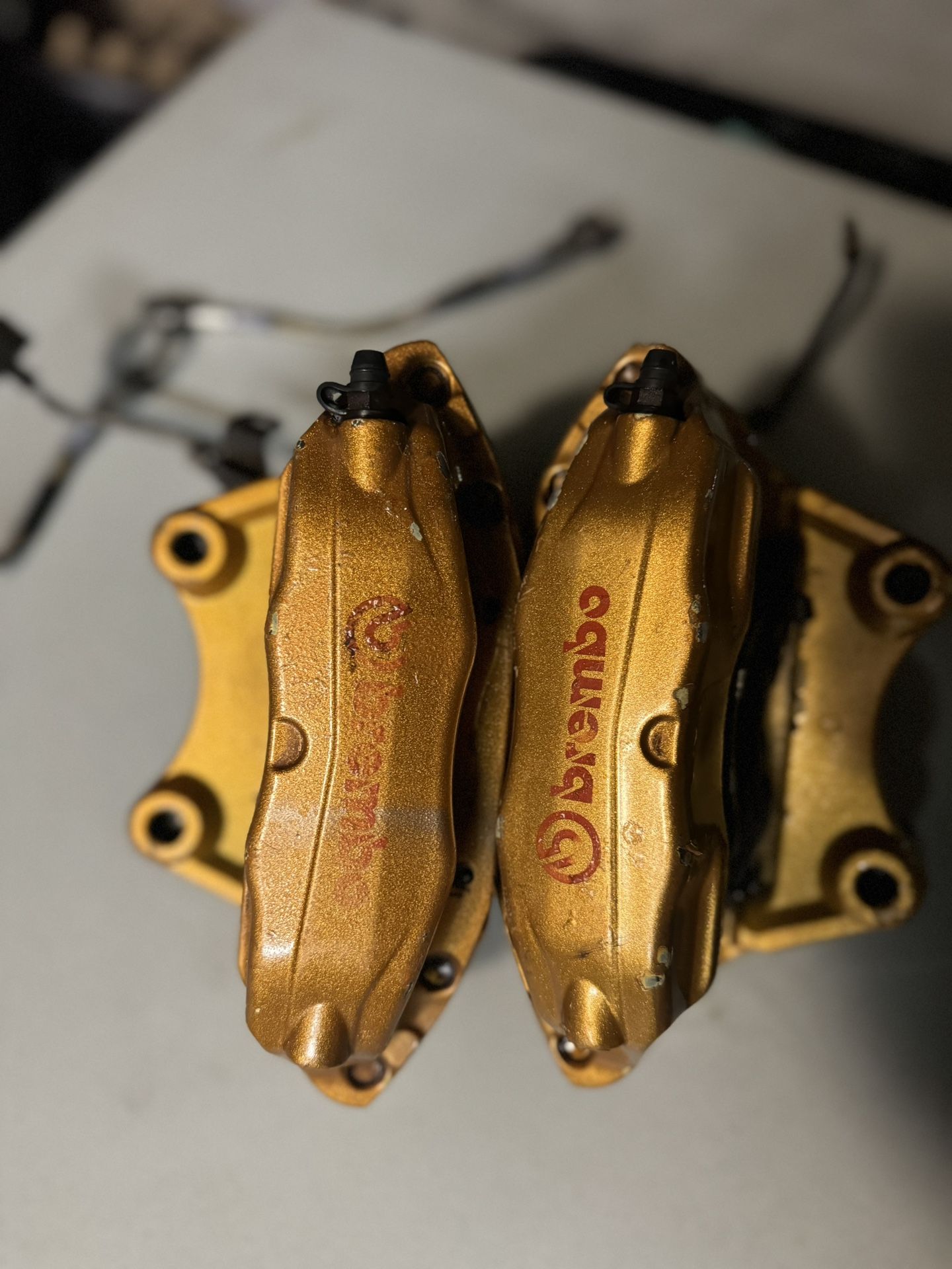 Genuine Oem Brembo Front Brake Calipers Rotors And Stainless Steel Lines For Nissan 350z