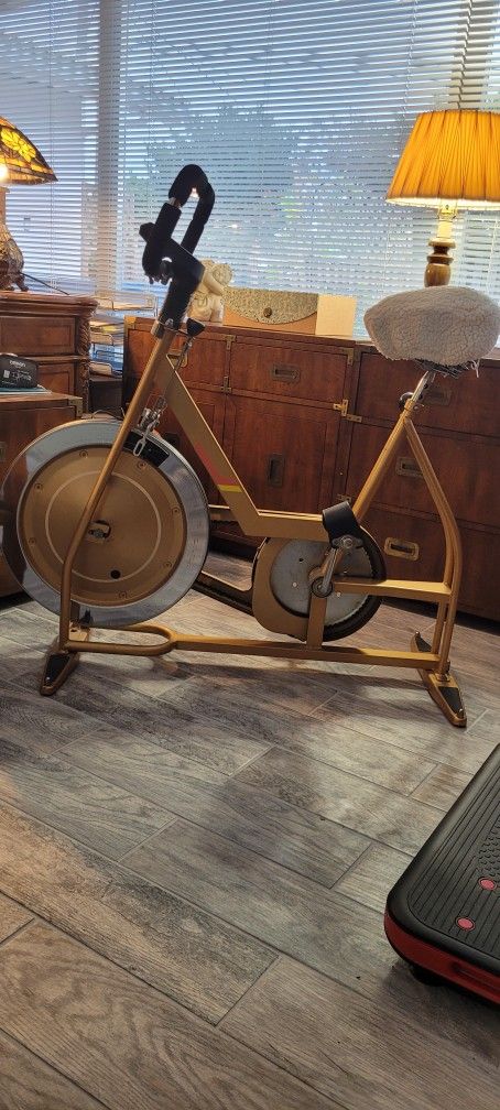 VINTAGE STATIONARY SCHWIN BIKE
