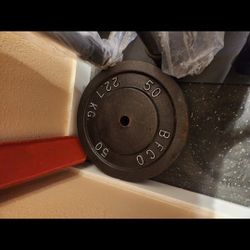 BFCO 50s Standard Gym Weights $100 Pair
