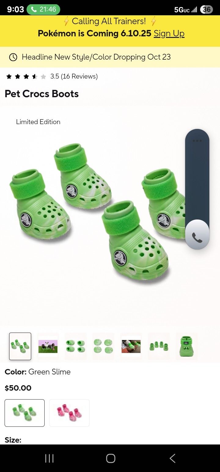 Dog Crocs Green