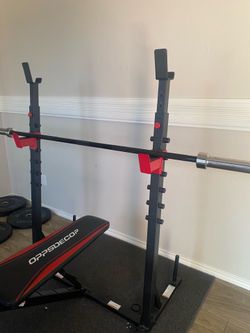 Bench and squat rack with red curl bar and leg extensions and weights decline bench and inclined