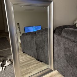 Mirror 55”x31”