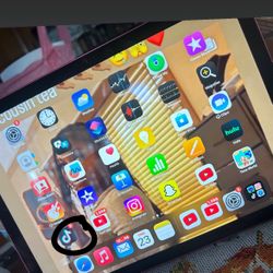 Tiktok INSTALLED IOAD 10TH GEN PINK