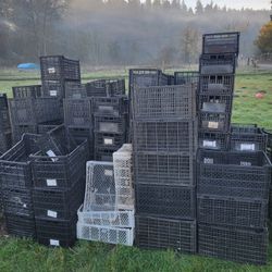 Free Vegetable Bins 