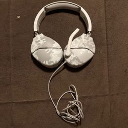 Turtle Beach