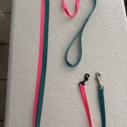 Pink And Blue Leash