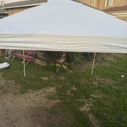 Canopy 