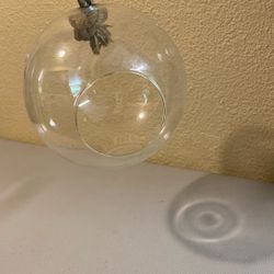 Hanging Terrarium