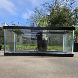20 Gallon Aquarium 