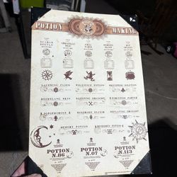 Harry Potter Potion Making Wall Art 19x13”