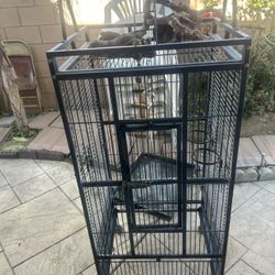 Bird Cage 